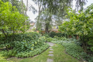  Photo 51