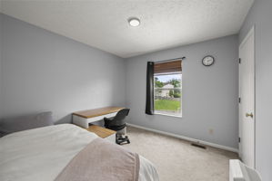  Photo 31