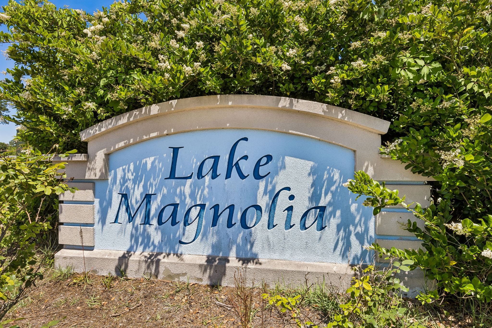 Lake Magnolia