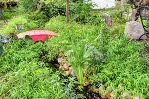  Photo 46
