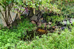  Photo 48