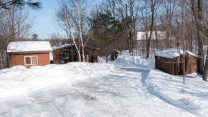 110 Pinewood Rd, McDougall, ON P2A 2W7, Canada Photo 47