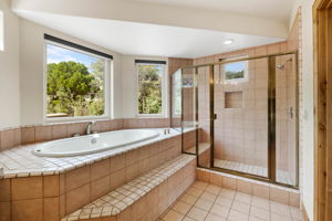Primary Bath (3)