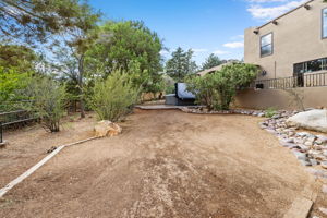 Backyard (2)