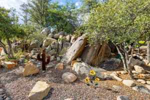 Backyard (4)