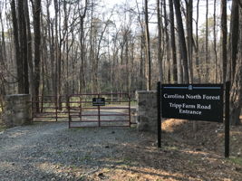 Behind the house is this extensive system of walking trails . . . trails that lead to Bolin Creek, Chapel Hill High School and other engaging locations.