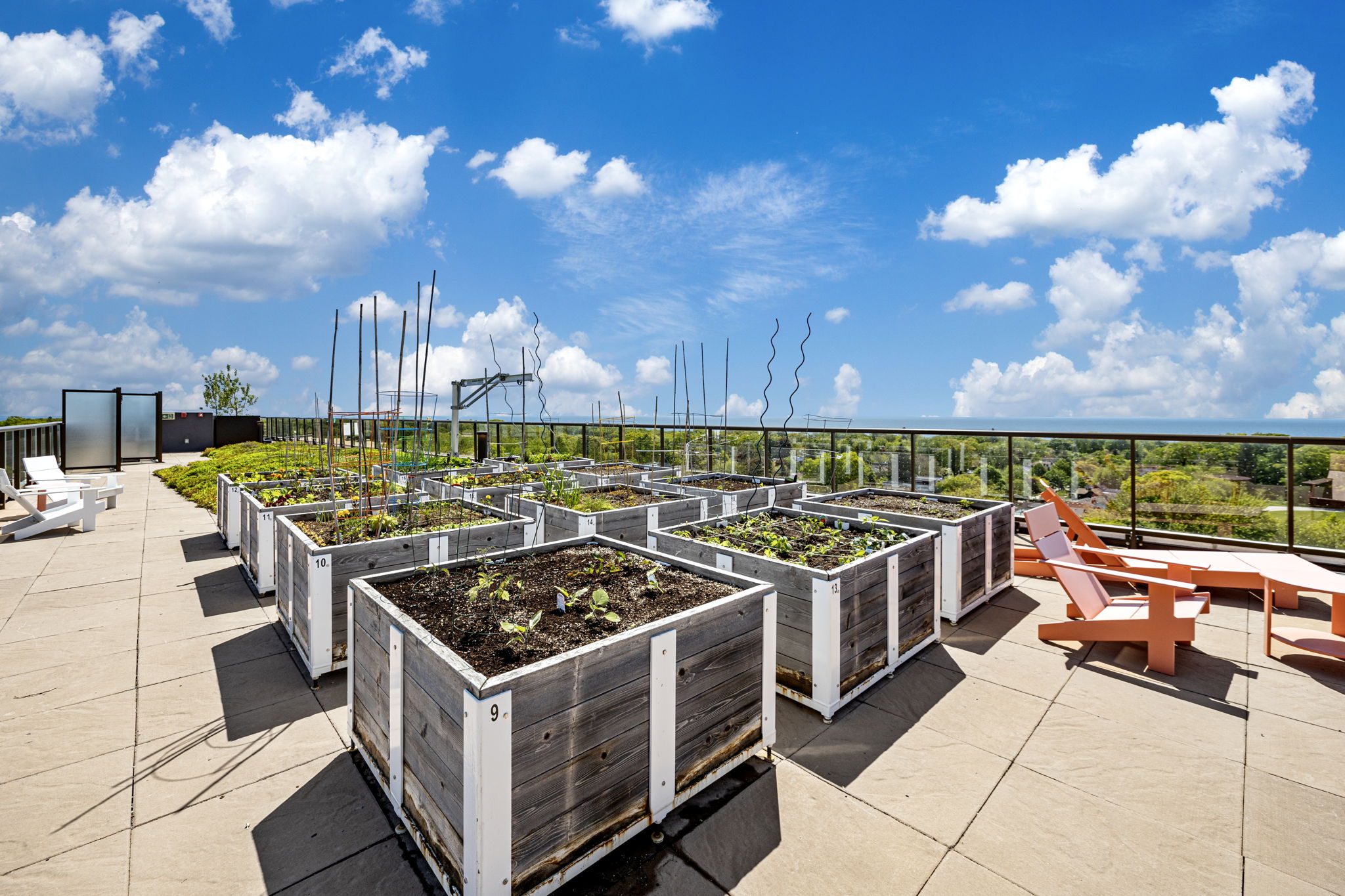 Toronto property showcase — delivered property photograph 34