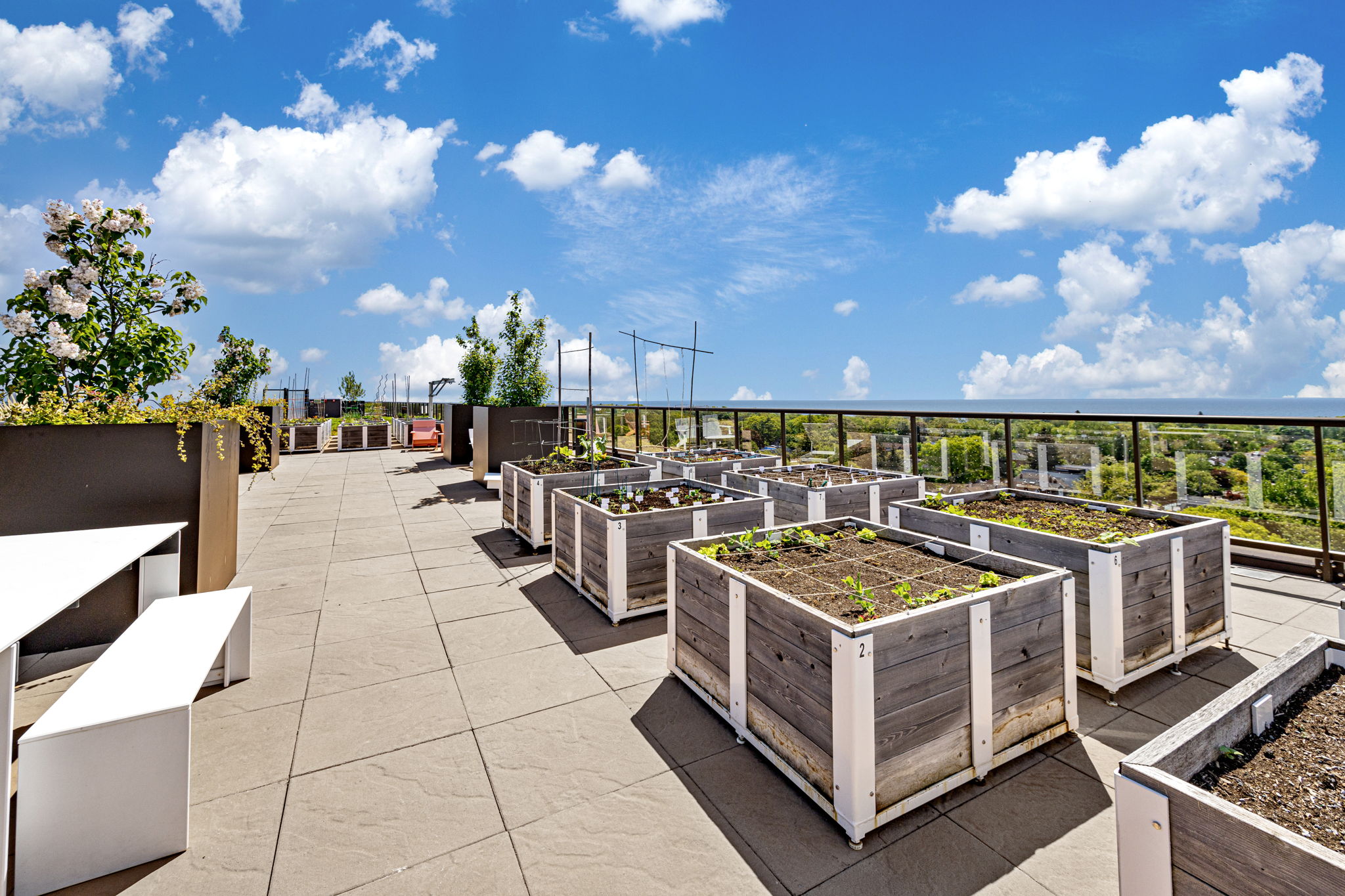 Toronto property showcase — delivered property photograph 32