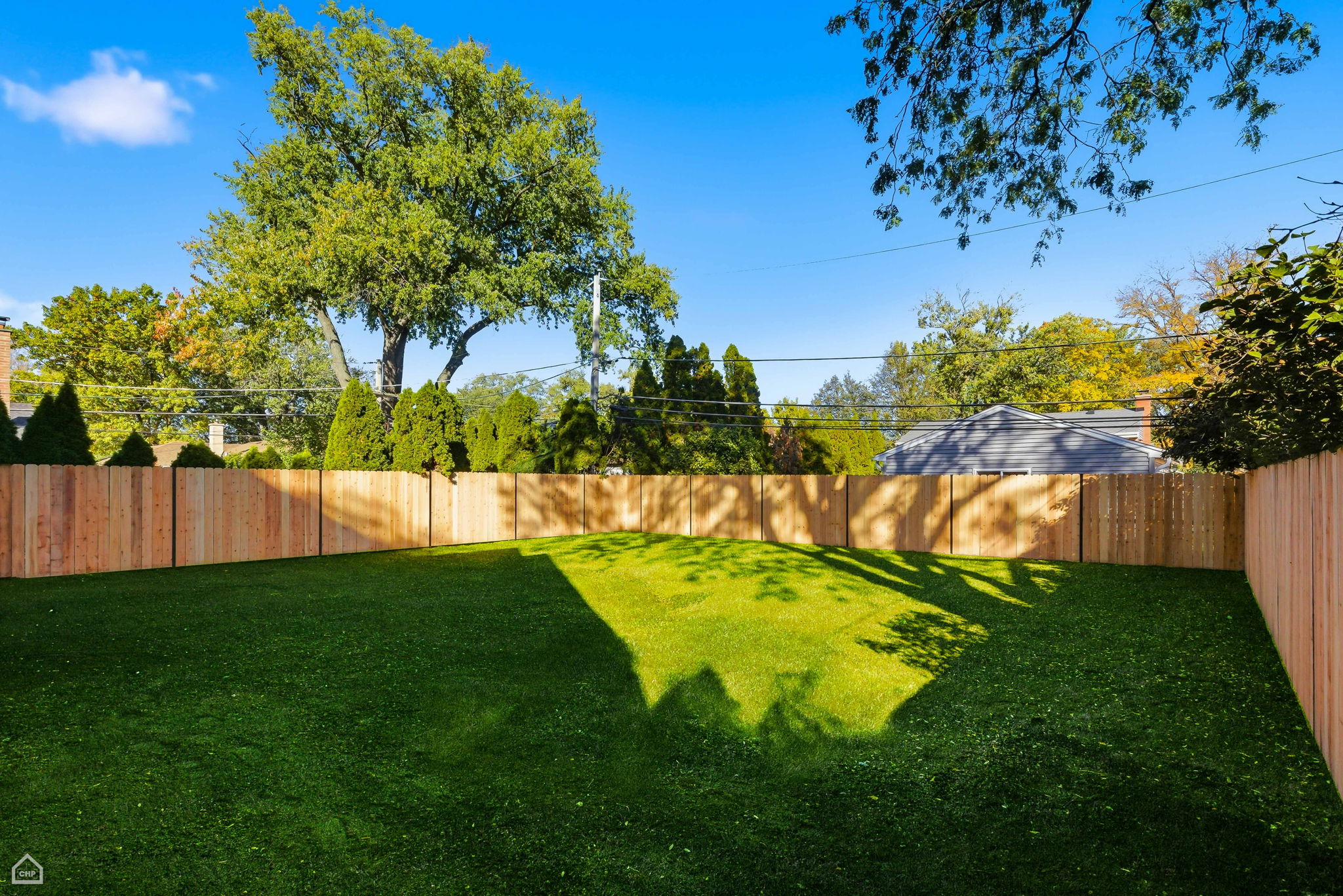 1100 Lois Ave - grass - Matt Liss_CHP2025_003