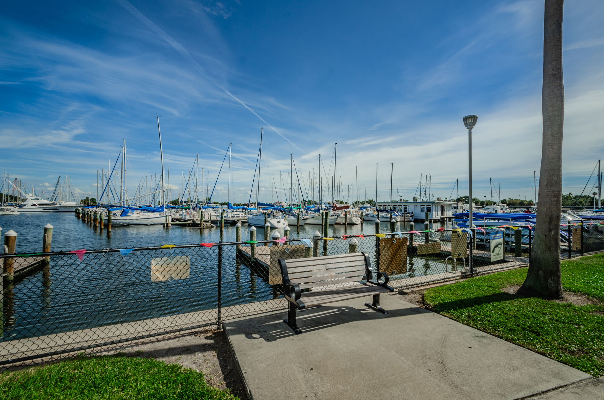 Downtown St. Pete7