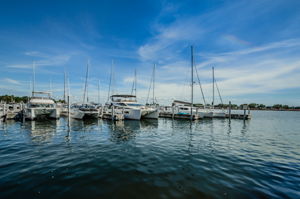 Downtown St. Pete1