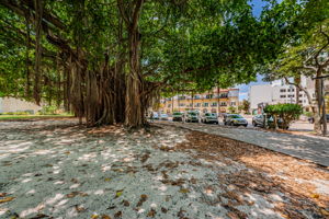 North Straub Park 3