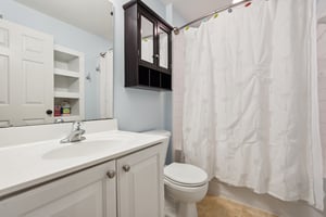Basement Bathroom