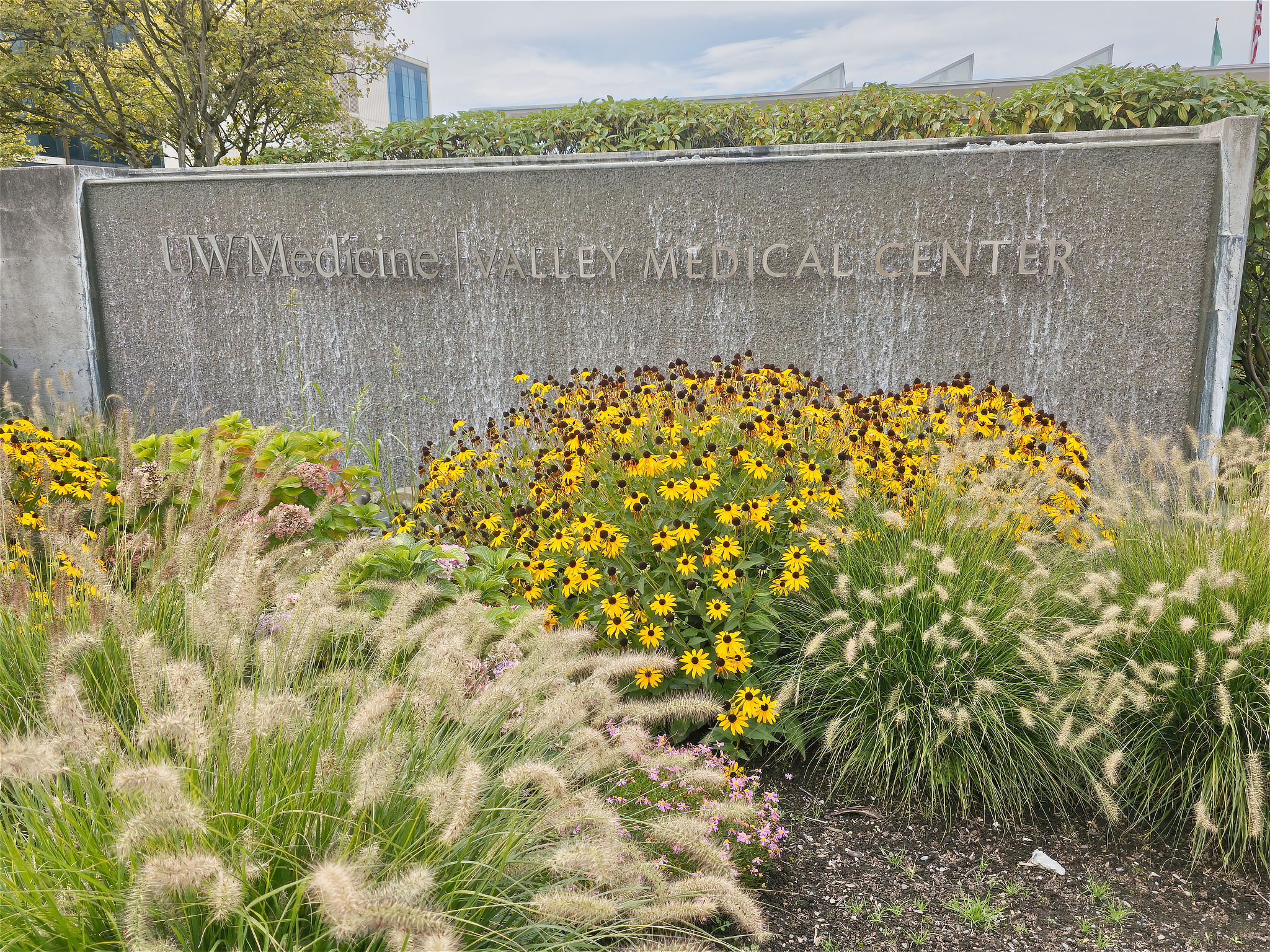 UW MEDICINE VALLEY MEDICAL CENTER is just down the hill—nearby health care and a major local employment anchor.