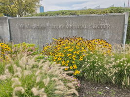 UW MEDICINE VALLEY MEDICAL CENTER is just down the hill—nearby health care and a major local employment anchor.