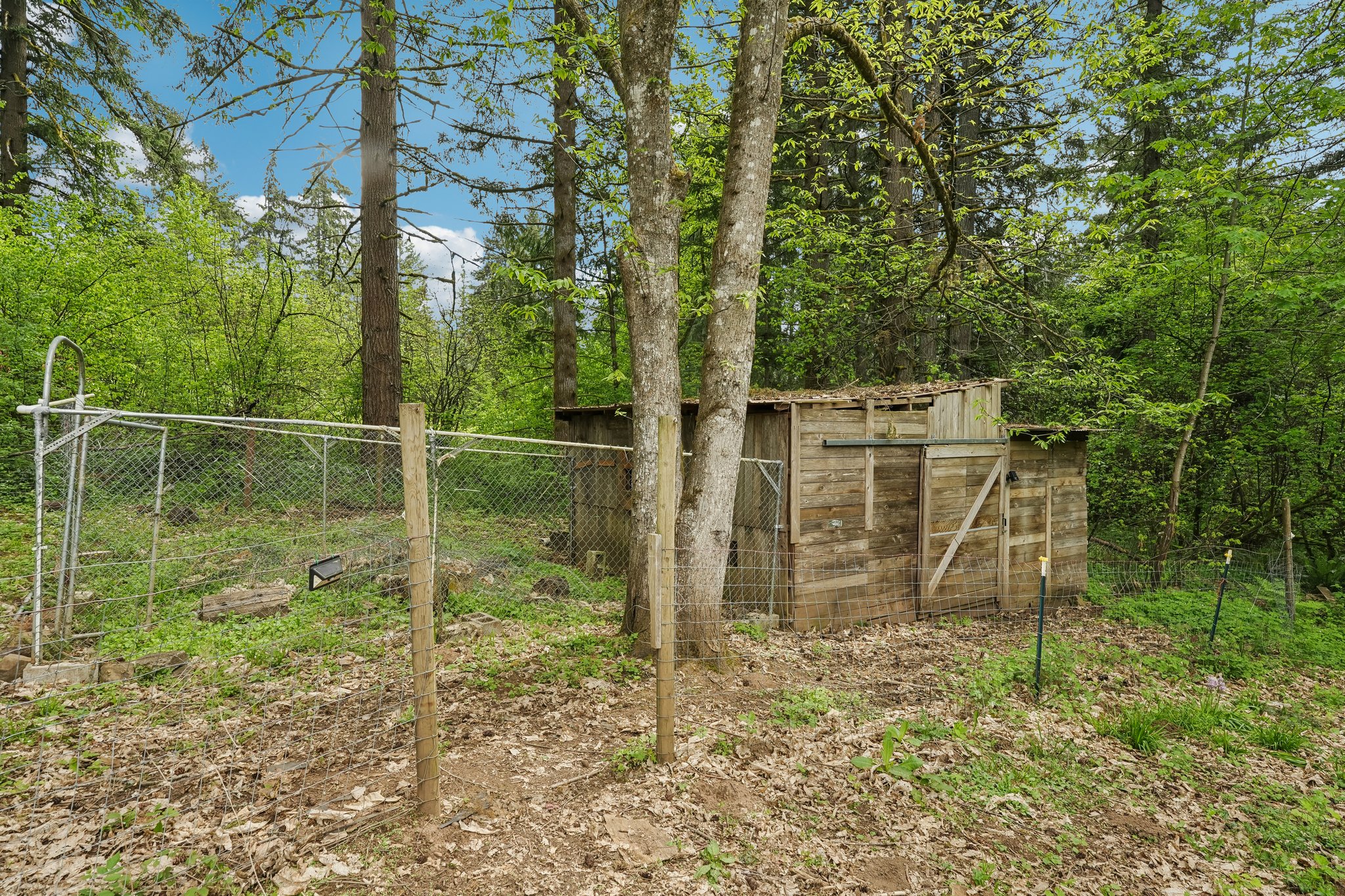 NE Wilde Rd-S0105-056.jpg