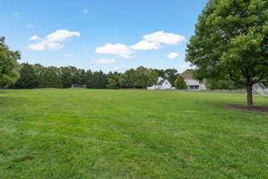 60-Soccer Field