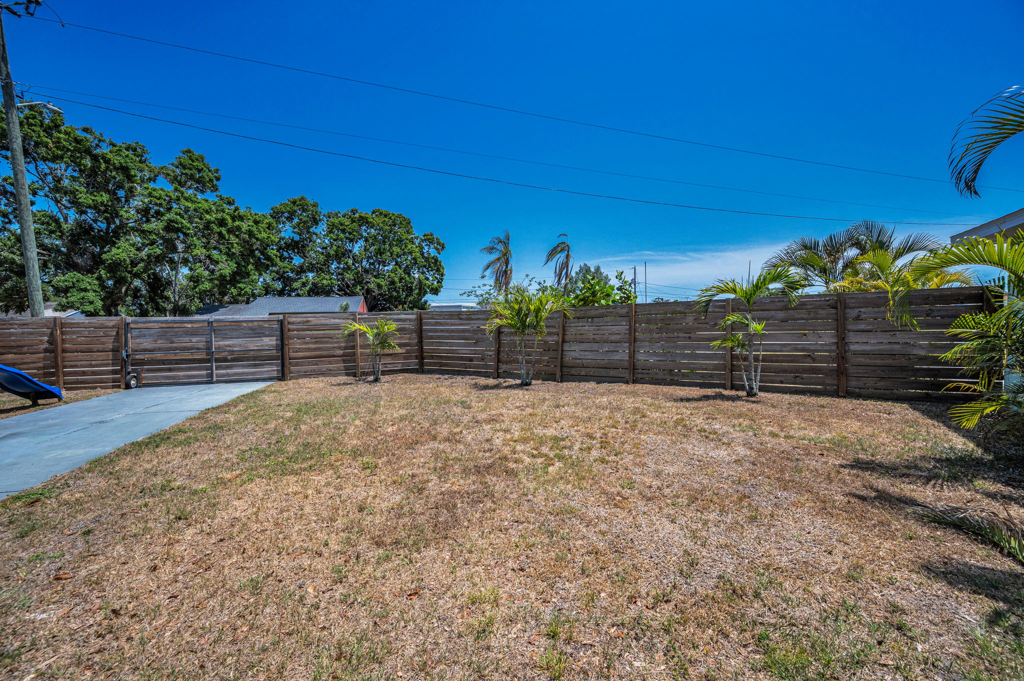 Backyard3