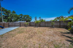 Backyard3