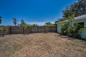 Backyard11
