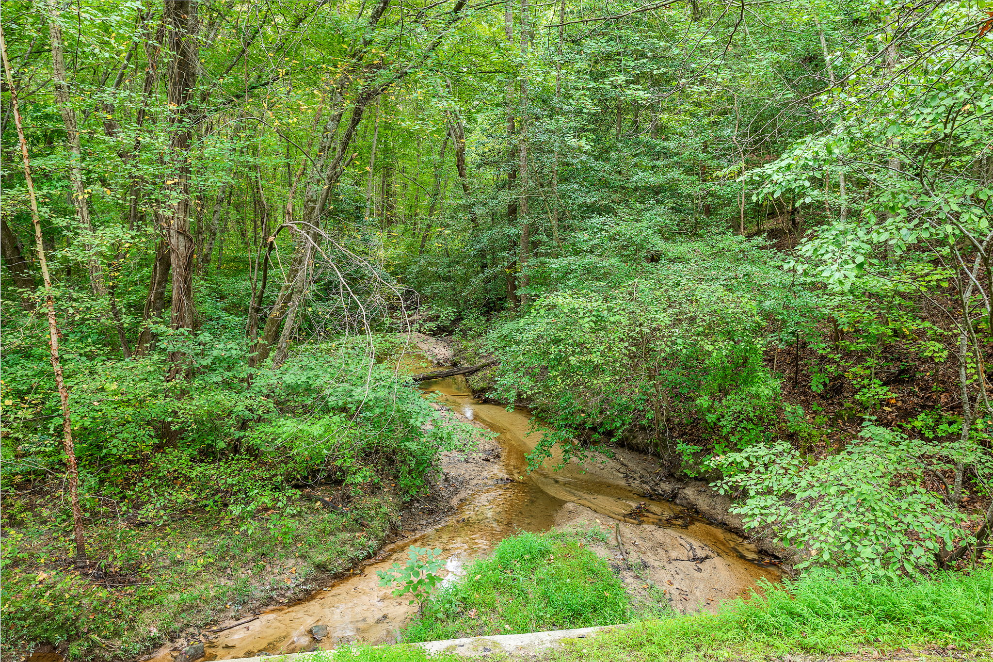 49-Stream