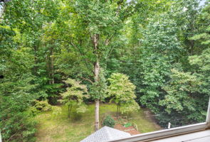 39-Backyard from Cupola