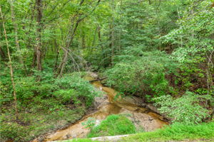 49-Stream