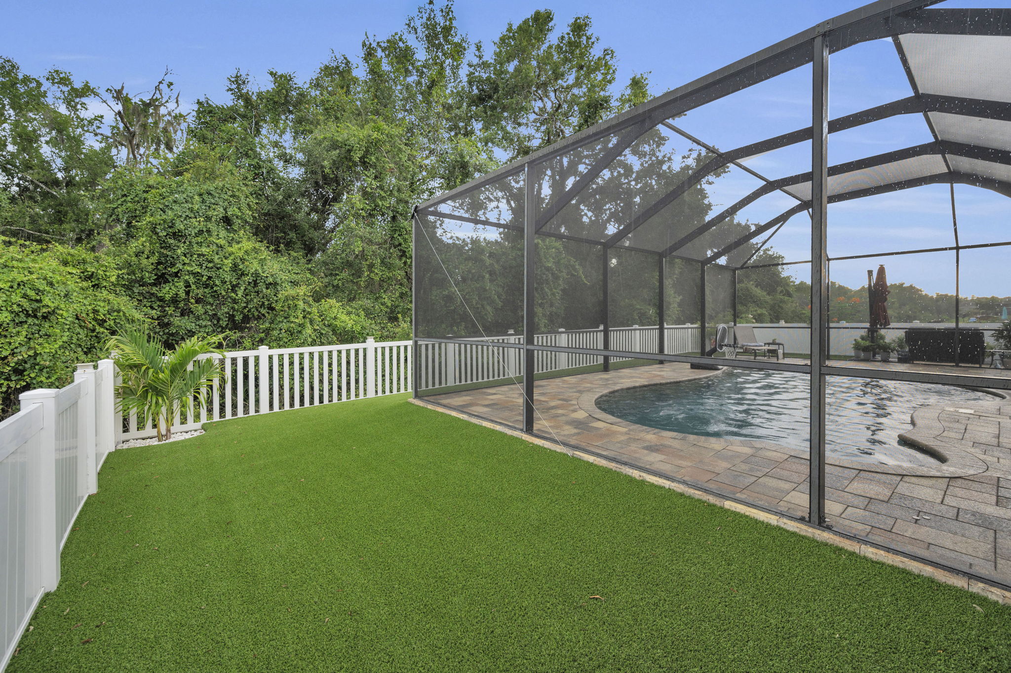 Backyard1