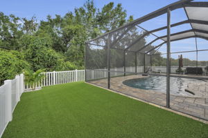 Backyard1