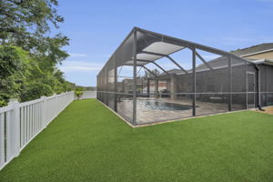 Backyard2