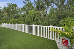 Backyard4