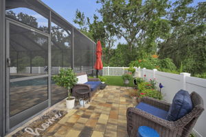 Backyard5