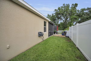 Backyard8