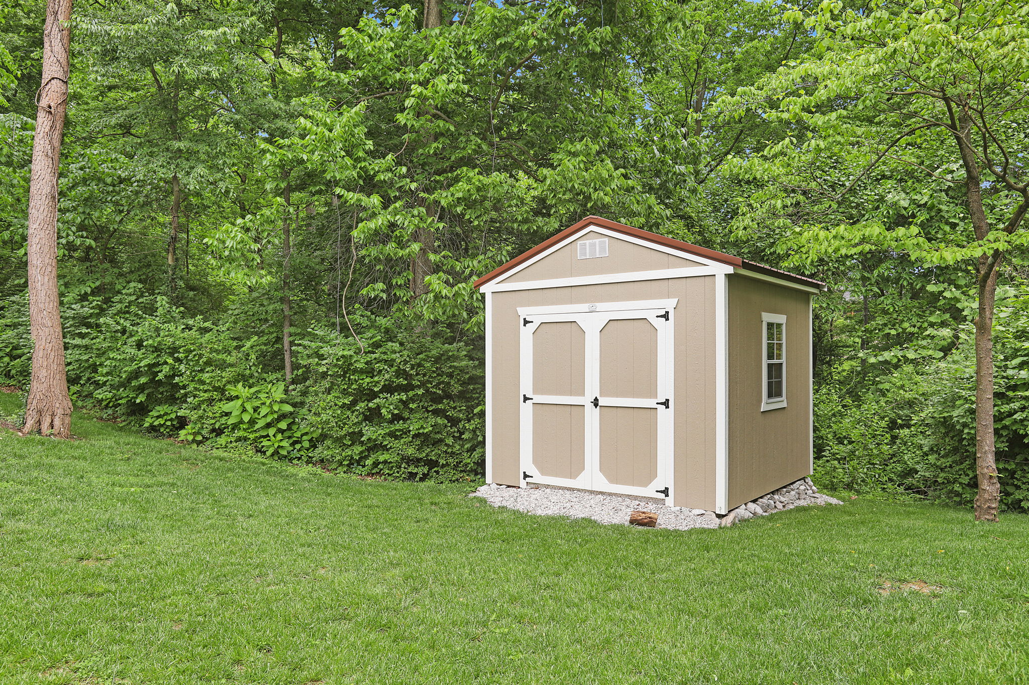 Shed
