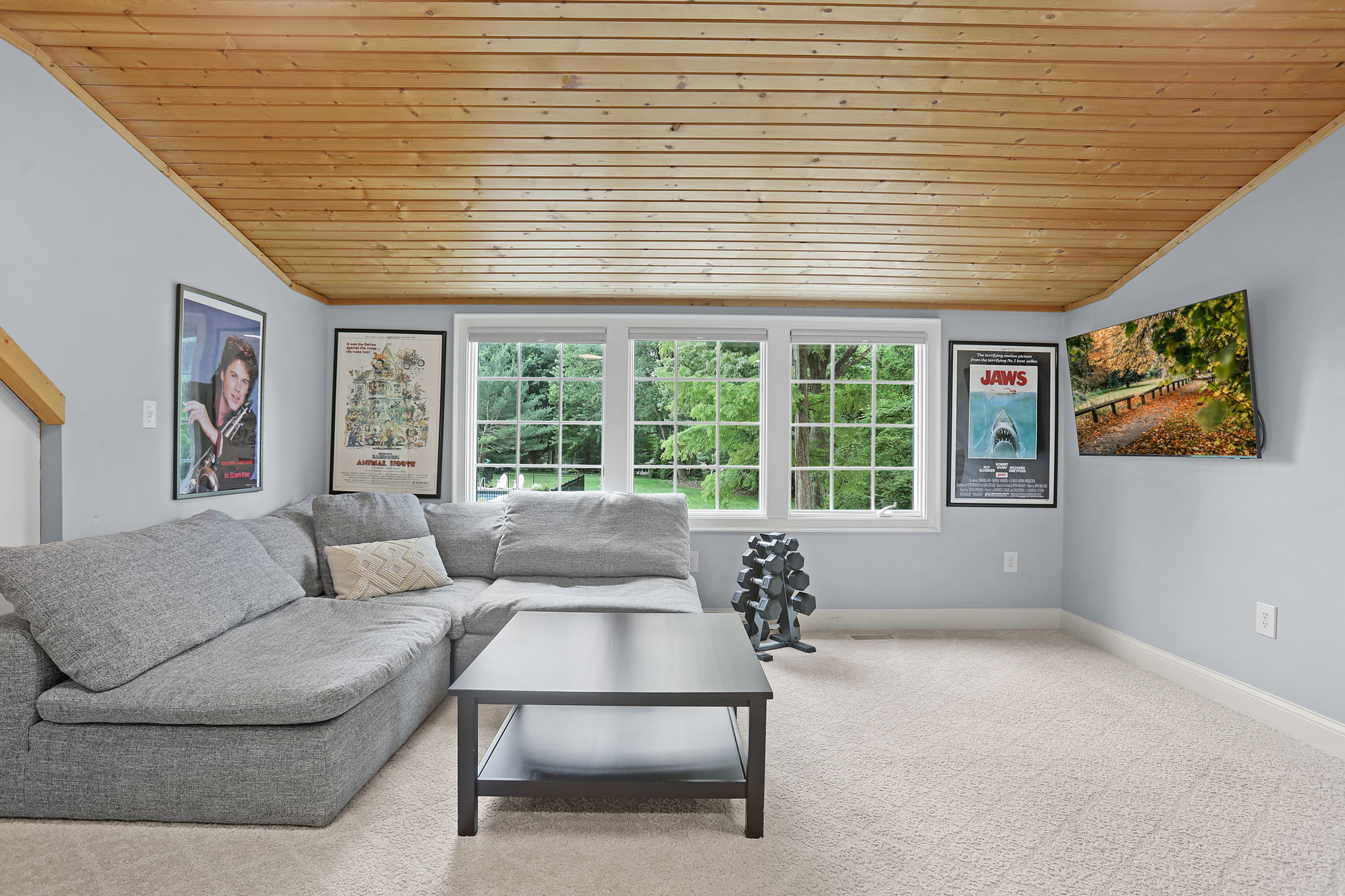 Bonus Room