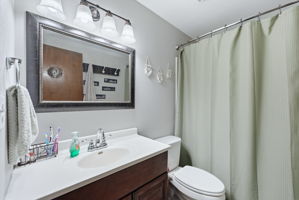  Photo 41