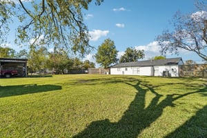 Munn St-S1012-029.jpg