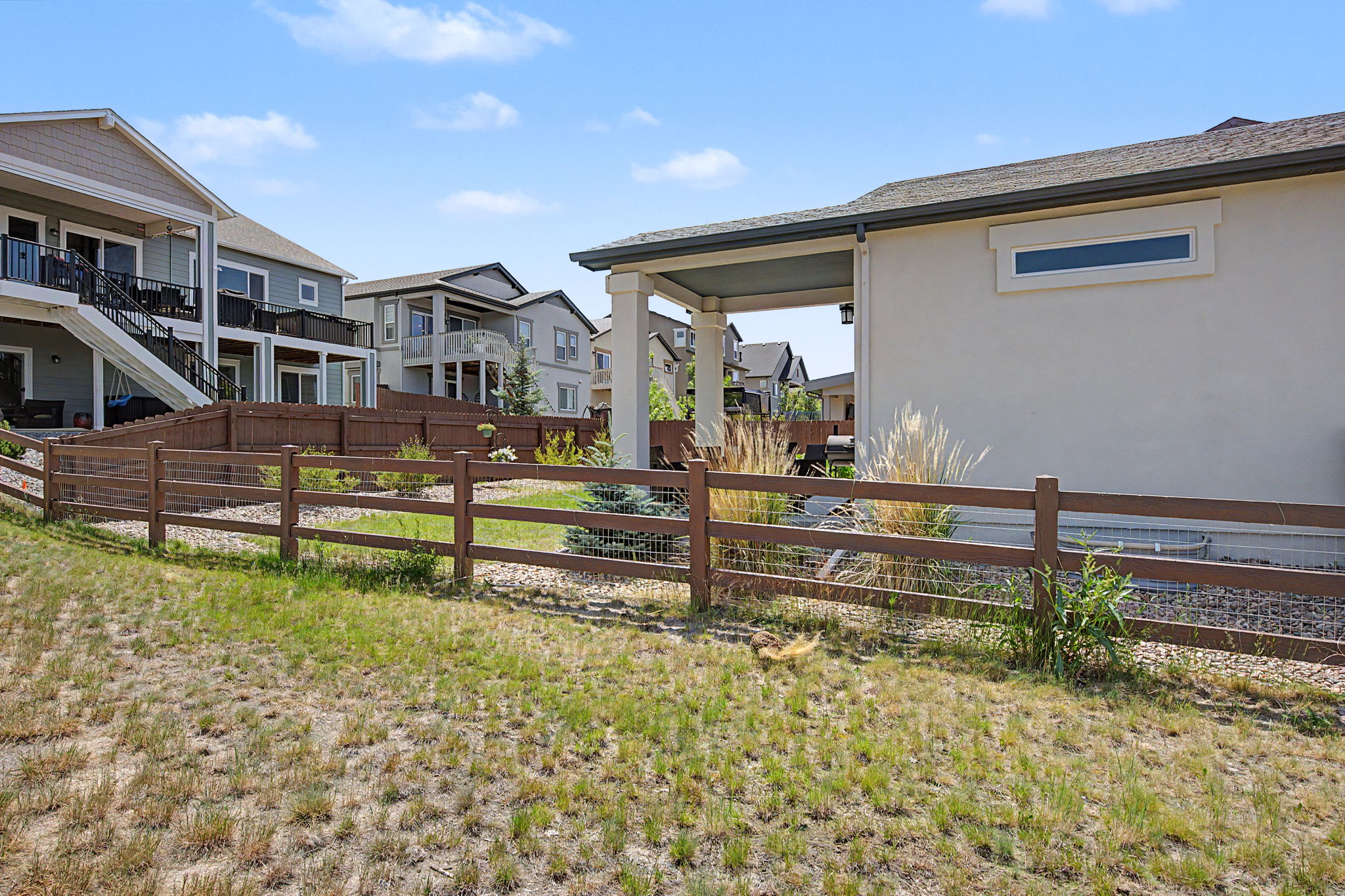 Back Yard