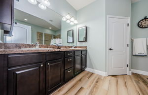 Master Bathroom 1a