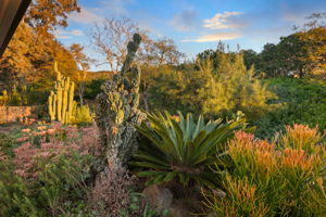 11039 Twin Pond Terr-84