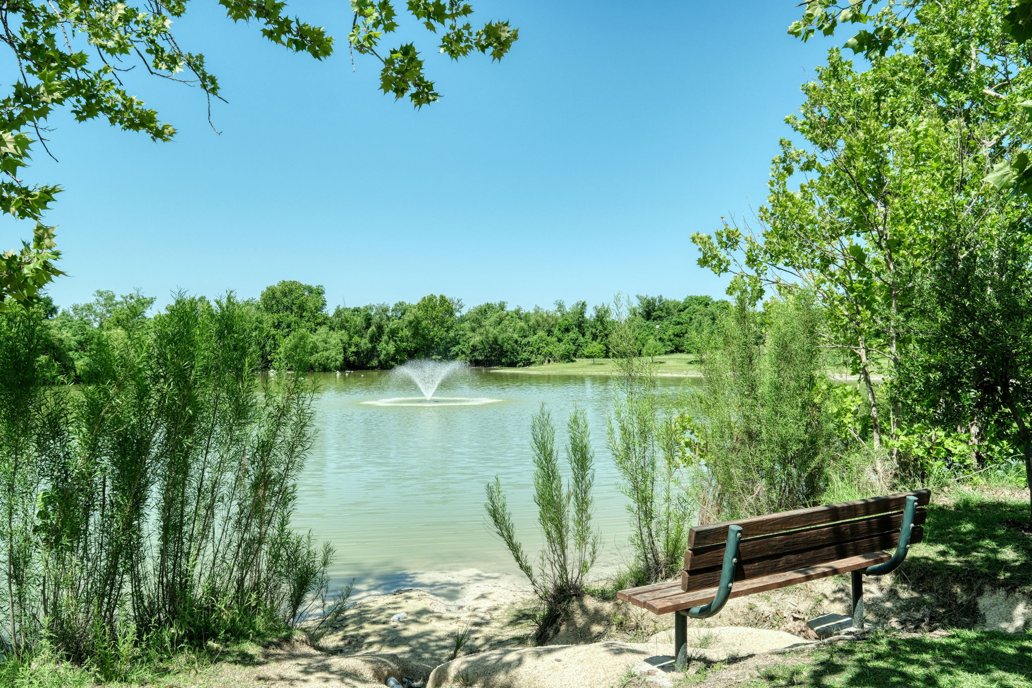Community Pond