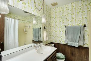 Hall Bathroom