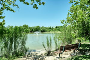 Community Pond