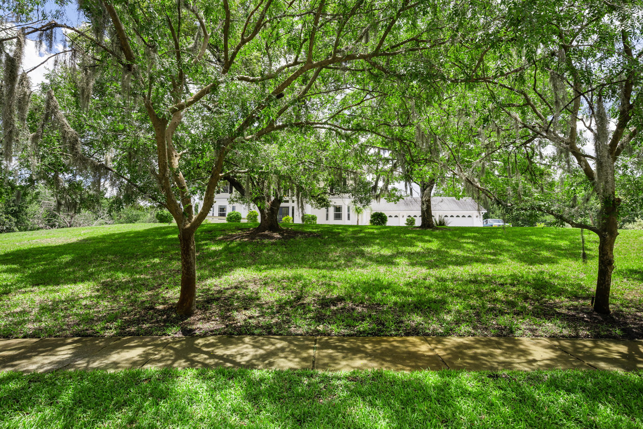 Front Yard 1
