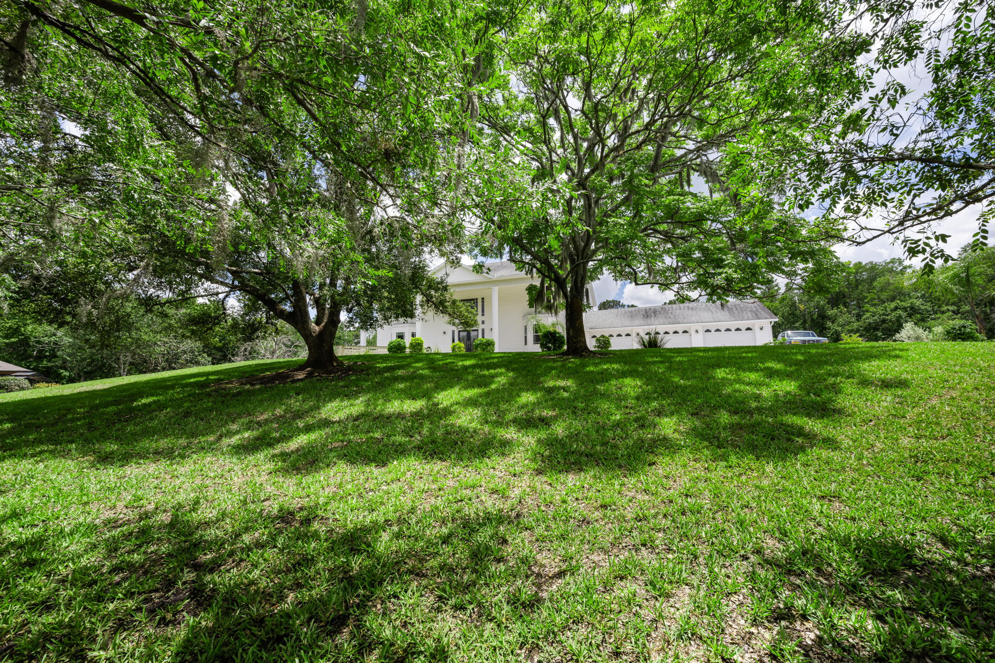 Front Yard 2