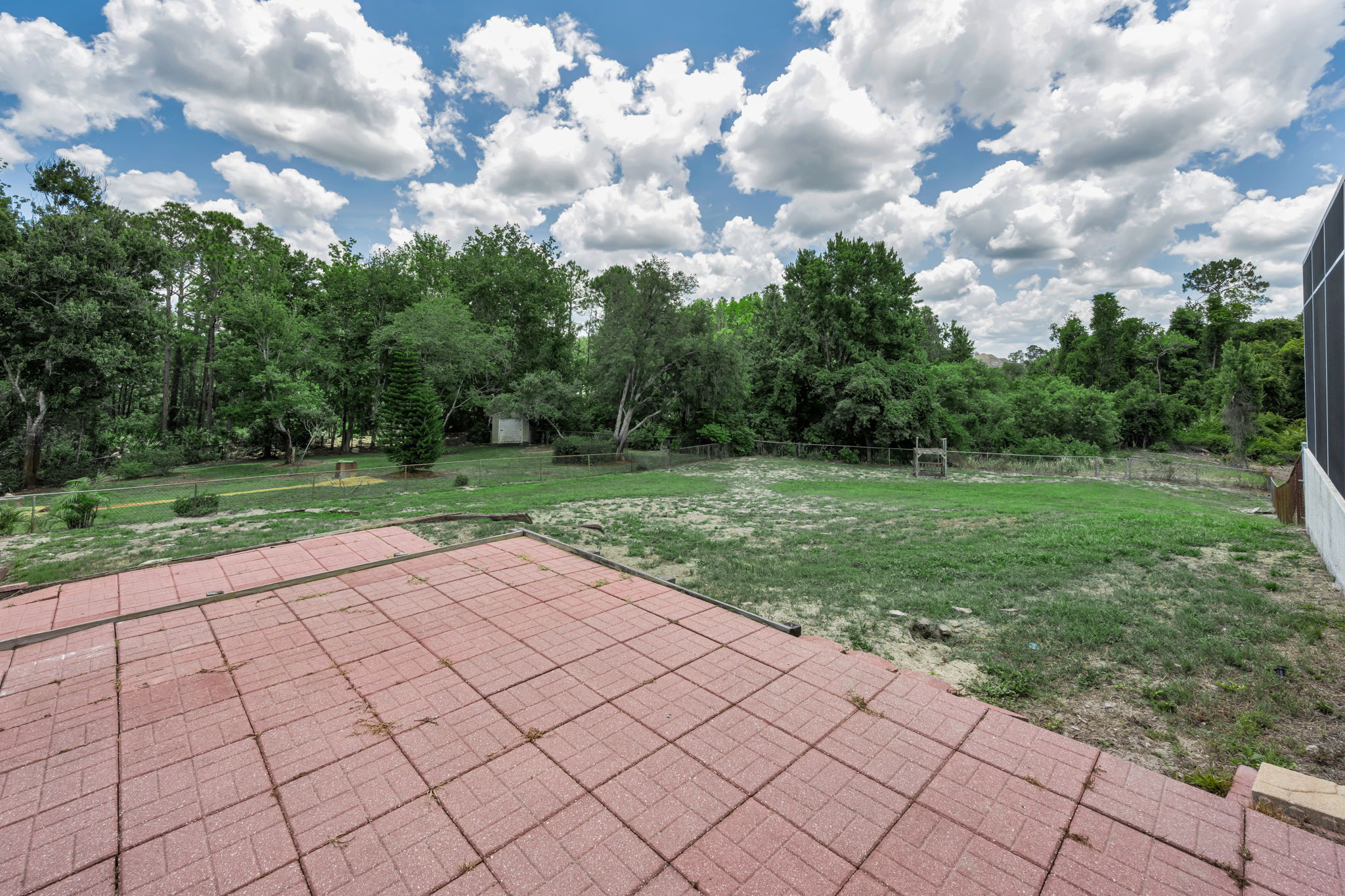 Backyard 1