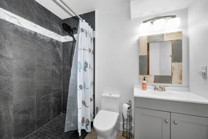 Lower Level In-Law Suite Bathroom 3a