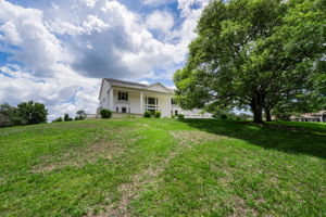Front Yard 3