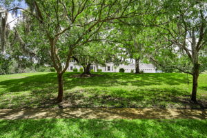 Front Yard 1