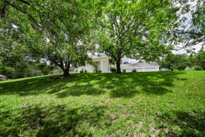 Front Yard 2